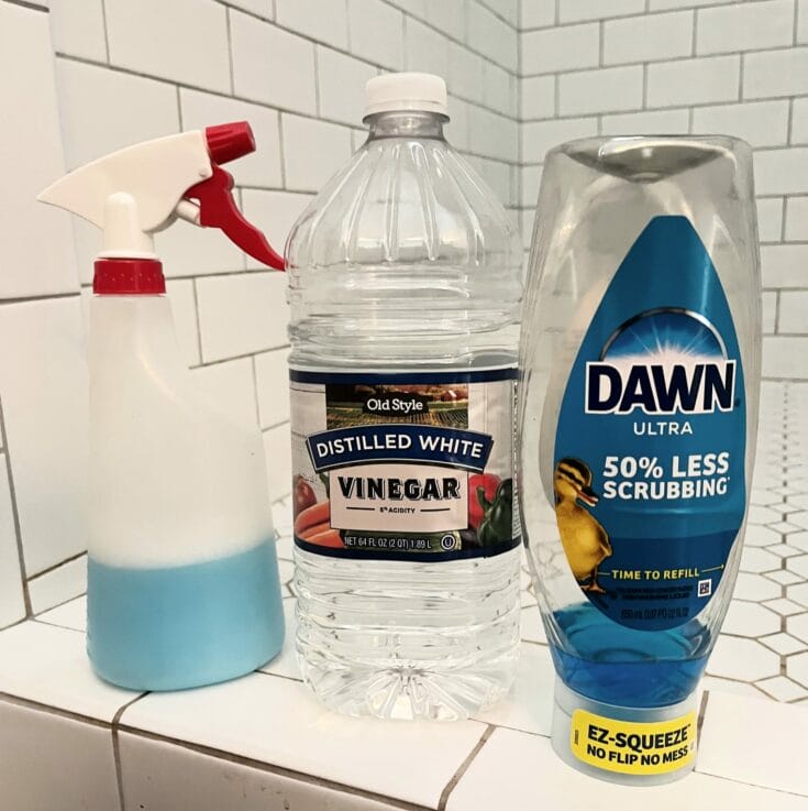shower cleaning ingredients