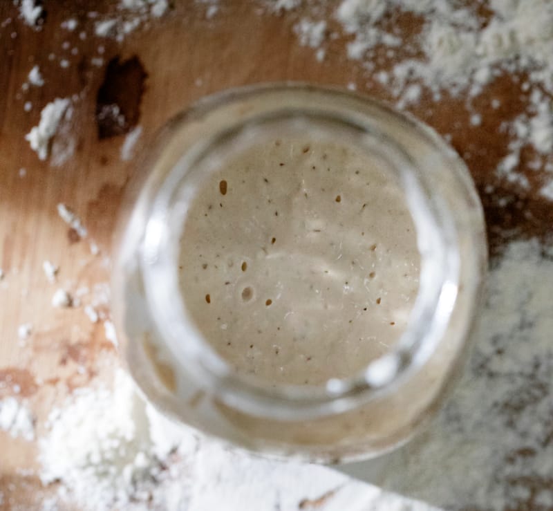 sourdough starter