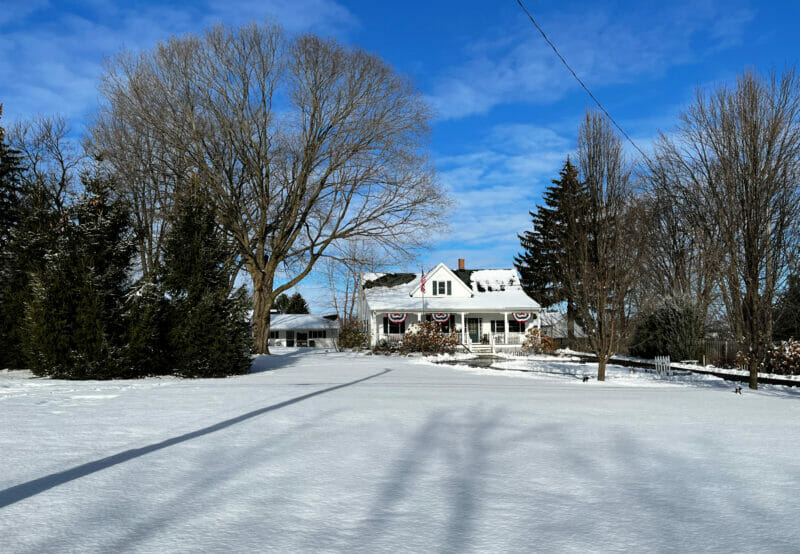 sunny snowy january