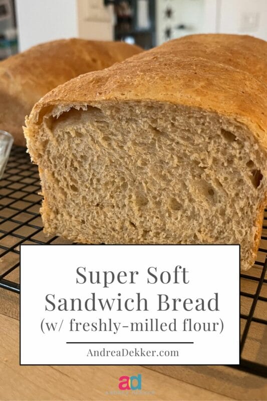 super soft sandwich bread