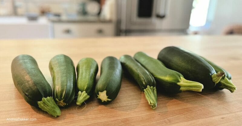 10 easy zucchini recipes